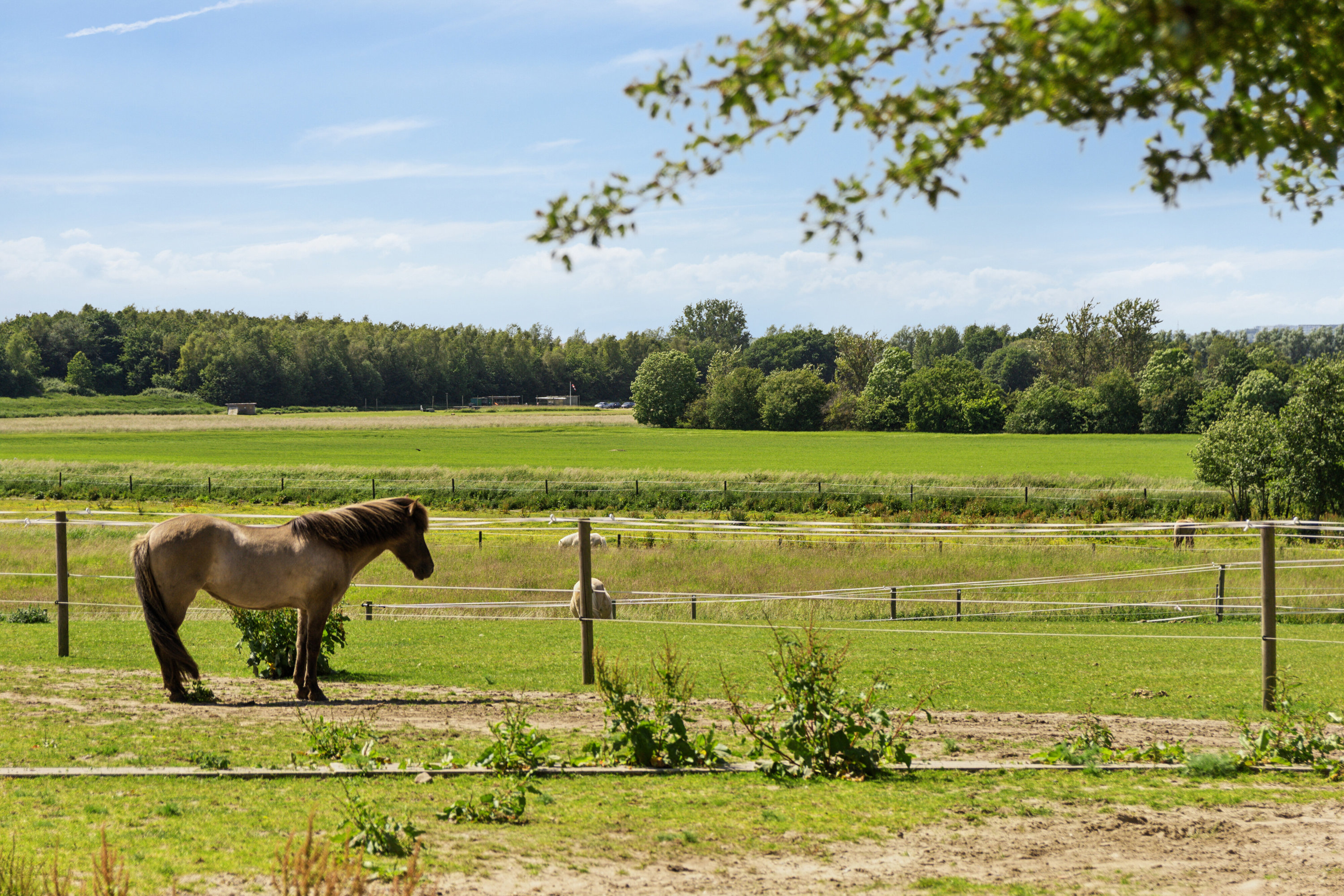 Landejendom på Egå Mosevej 97 8250.