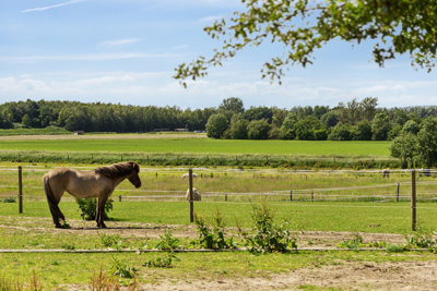 Egå Mosevej 97